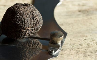 Tartufo Scorzone: qual è il suo prezzo medio nel 2022?